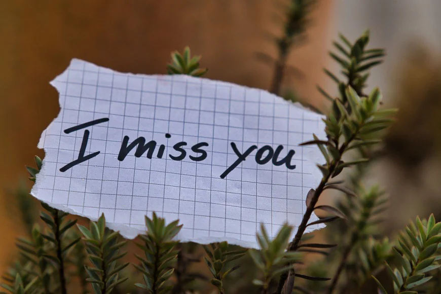 True Love Miss You Shayari | Miss You Quotes In Hindi